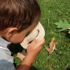 joguines montessori LUPA AMB NANSES