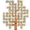 SOMIA UN ARBRE - DREAM A TREE