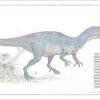 joguines més venudes INVENTARI IL·LUSTRAT D'ANIMALS (Ed. castellà)