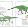 joguines més venudes INVENTARI IL·LUSTRAT D'ANIMALS (Ed. castellà)