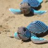 Joguines de trencaclosques EUGY TORTUGA