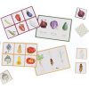 LOTO I MEMO DE LES HORTALISSES