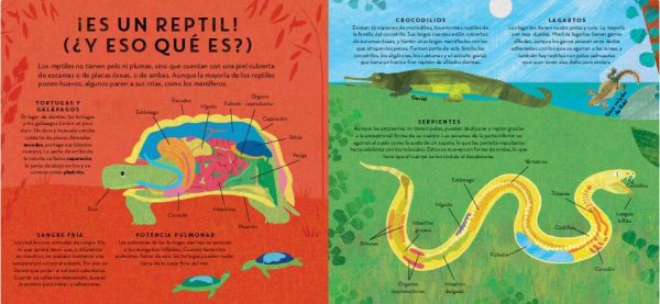 RÈPTILS PER TOT ARREU (Ed. Català)