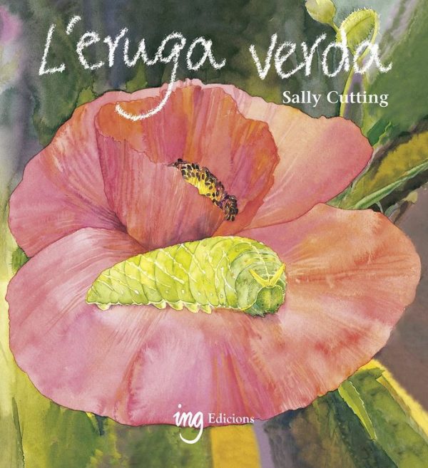 L'ERUGA VERDA (Ed. Català)