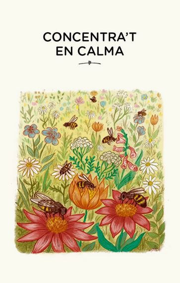 joguines online AMB CALMA. CARTES (Ed. Català)