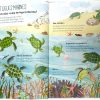 EL GRAN LLIBRE DEL MAR (ed. Català)