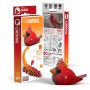 Joguines de trencaclosques EUGY CARDENAL