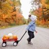 Joguines sobre rodes EL MEU PRIMER CARRETÓ RADIO FLYER